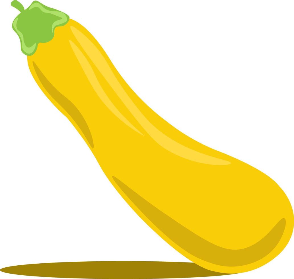 yellow-zucchini-illustration-on-white-background-free-vecto.jpg